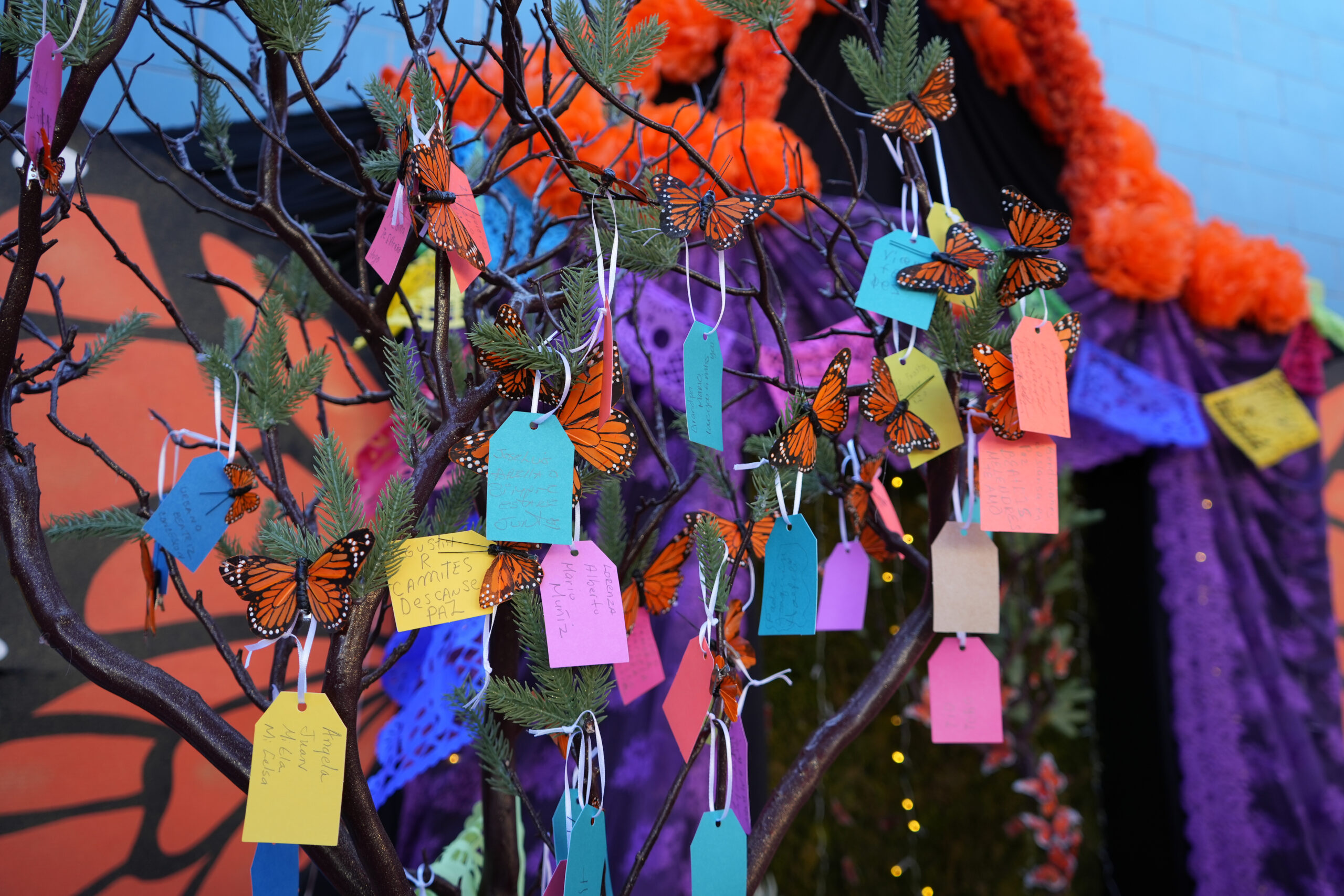 butterfly decorations attached to notes hanging on small tree